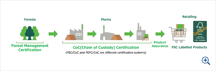 Forest Certification Structure