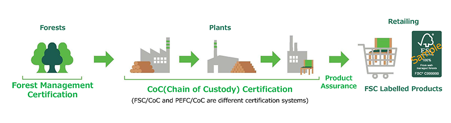 Forest Certification Structure